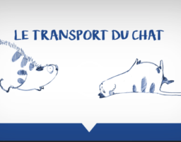 Accueil Chatdoc Accueil Chatdoc